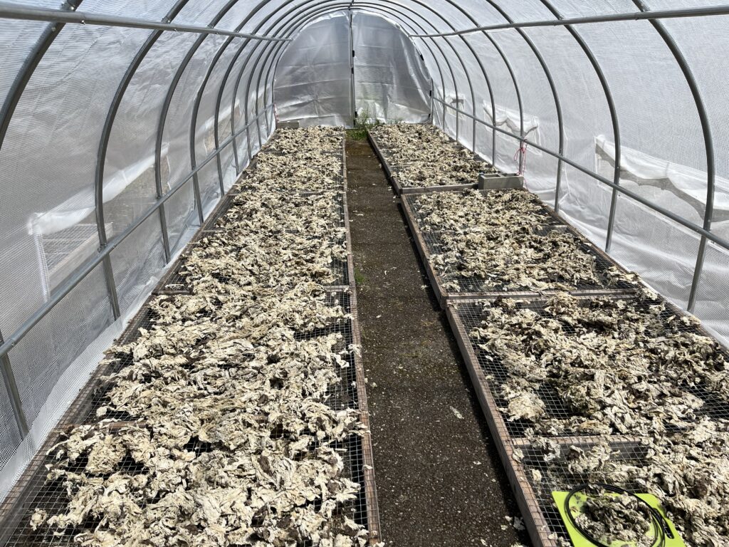 A hoop house with a metal frame surrounded by plastic tarp. Inside on the ground are wood boxes where seaweed is drying.