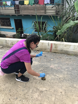 Viviana Alban crouches down, facing in profile to the camera, to sample dog poop on a dirt road with a blue house and vegetation in the background. She is wearing glasses, a purple t-shirt, black yoga pants, sneakers and blue nitrile gloves.