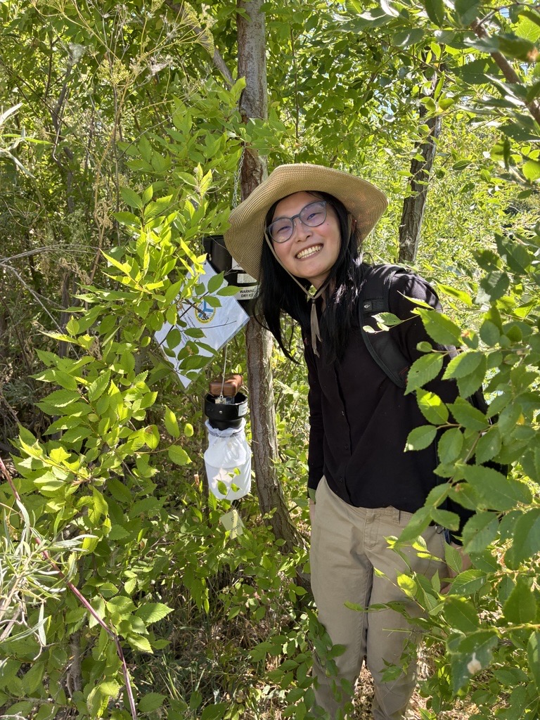 Li smiles standing next to a tree with a mosquito trap hanging from it.