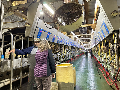 Inside a cow milking barn showing a long corridor with many milking pens on each side. Two people stand in the corridor with one facing toward the camera and one facing away.
