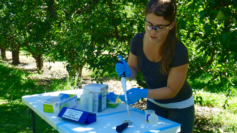 Miriam Calkins tests samples on-site in an orchard. Photo: Jose Carmona.