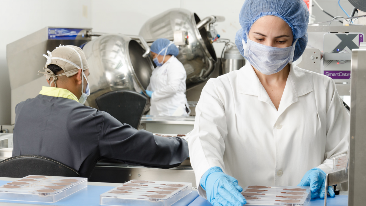 factory cleanroom workers.