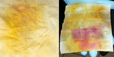Two images showing wet wipes used for testing for lead, one that has turned a yellow-orange color and the other (in a gloved hand) with a deeper red-orange color.